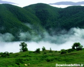 جنگل ابر | گلچینی از زیبا ترین عکس هایی از جنگل ابر شهر شاهرود