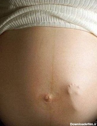 ورود جنین به شکم چه زمانی است؟ | رنگدونه
