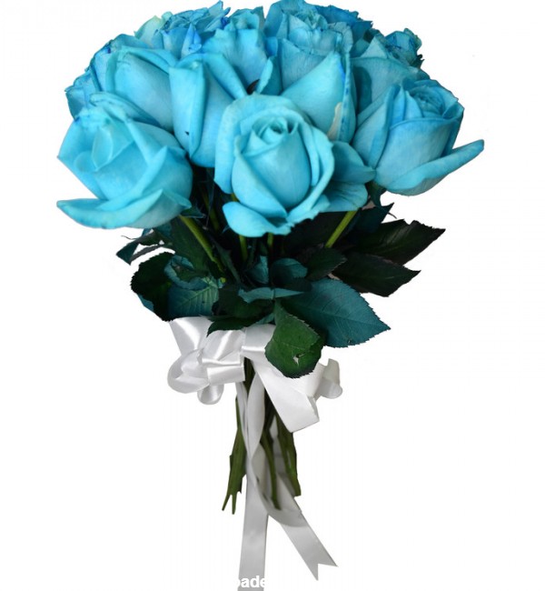 مشخصات، قیمت و خرید شاخه گل رز هلندی آبی دسته 20 عددی | دیجی‌کالا