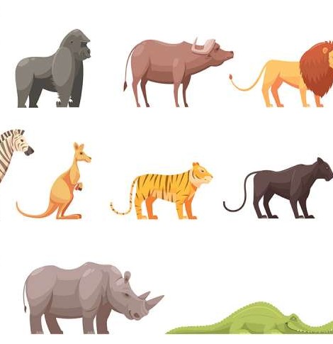لیست کامل اسامی حیوانات به زبان انگلیسی | کلینیک زبان رفیعی