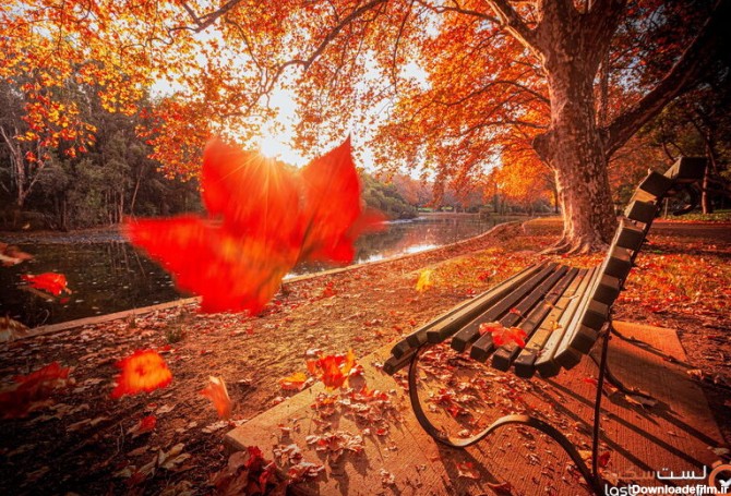 بی نظیرترین عکس های پاییزی را با کیفیت خوب دانلود کنید