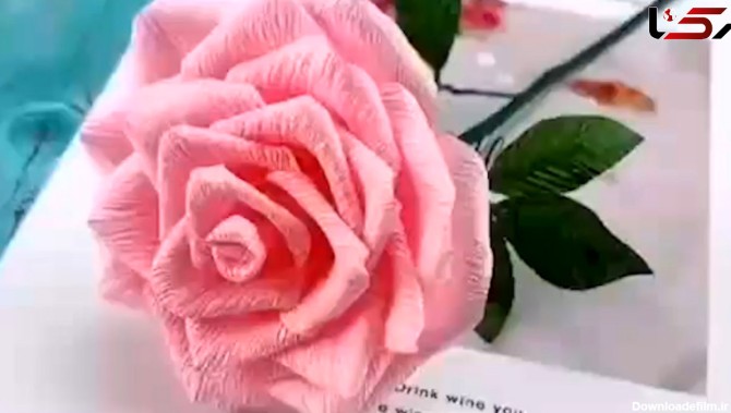 این گل های رز رنگارنگ با کاغذ درست شده اند + فیلم