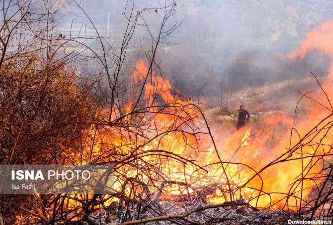 آتش‌سوزی ۶ هکتار از باغات روستای تنگ سریز بویراحمد