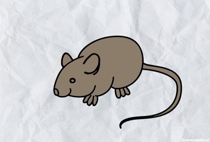 آموزش ویدئویی نقاشی موش برای کودکان - کاغذ رنگی