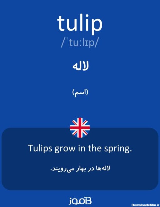 ترجمه کلمه tulip به فارسی | دیکشنری انگلیسی بیاموز