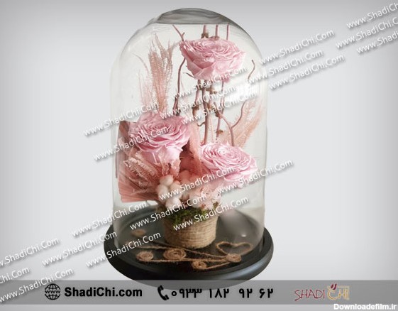 باکس شیشه ای گل رز | سفارش آنلاین باکس گل شیشه ای ( قیمت ...