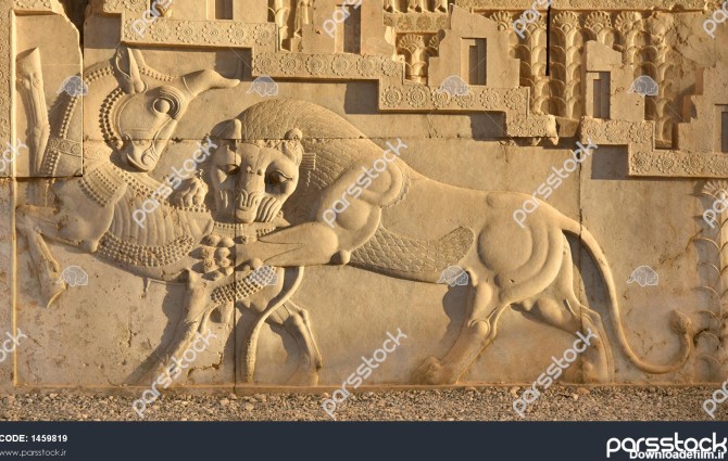 امداد باستانی بر روی دیوار شهر ویران شده تخت جمشید شیر به گاو حمله ...