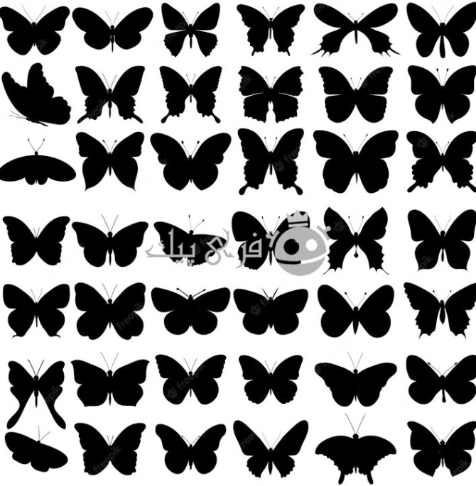 مجموعه وکتور، ایزوله، سیلوئت سیاه پروانه 👑 - فری پیک فارسی