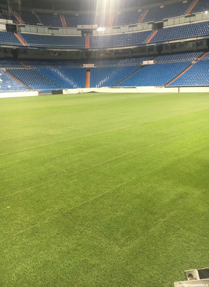 New Bernabeu pitch almost ready | MARCA in English