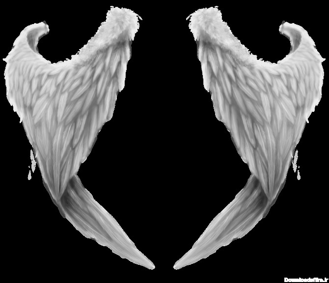 بال فرشته سمبل و نماد چیست؟ - بال فرشته