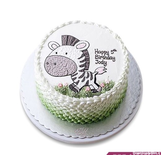 جدیدترین کیک تولد -کیک بچه گانه گور خر دونده | کیک آف