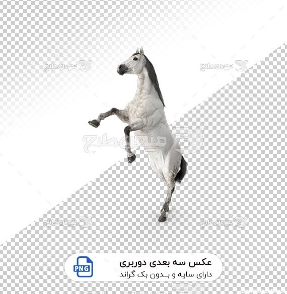 عکس برش خورده سه بعدی اسب سفید