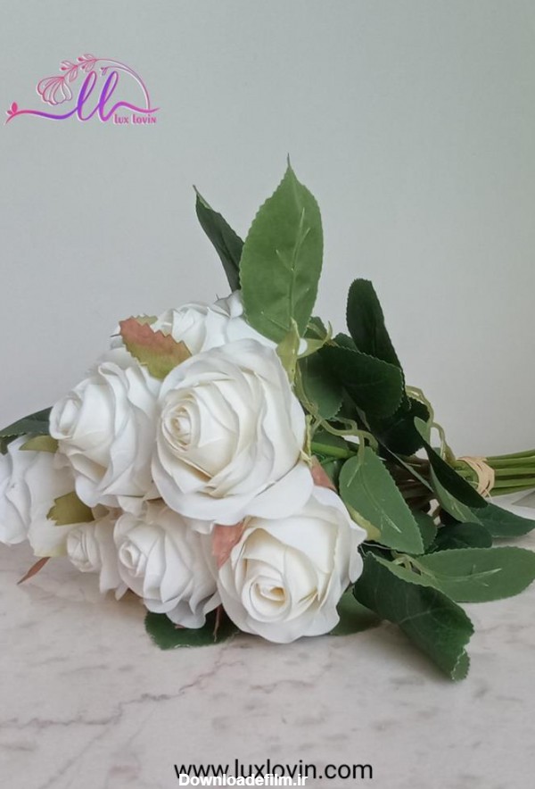 تصویری از گل رز سفید