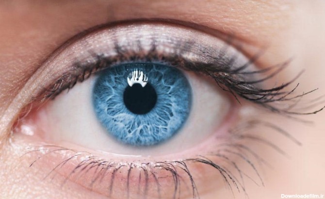 کمیاب‌ترین «رنگ چشم» جهان چه رنگی است؟ | عصر ترکیه