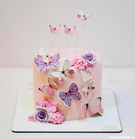 کیک پروانه صورتی