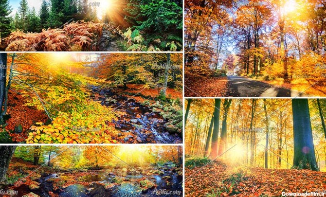 دانلود 14 والپیپر و تصویر زمینه از طبیعت فصل پاییز با کیفیت فوق ...