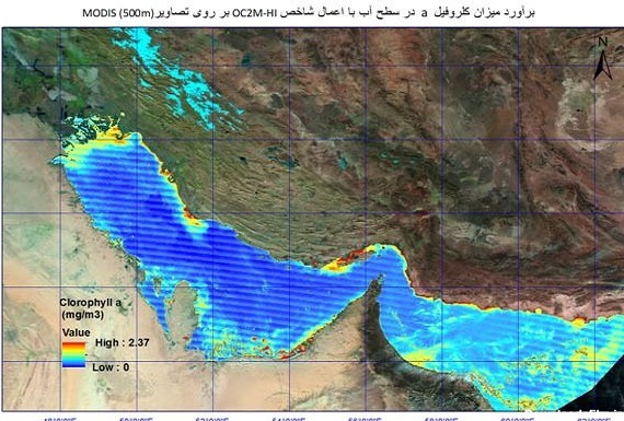 حرکت شکوفایی جلبکی «نوکتی لیکا» از دریای عمان به سمت خلیج‌فارس ...