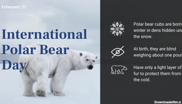 عکس نوشته روز جهانی خرس قطبی برای پروفایل شبکه های اجتماعی