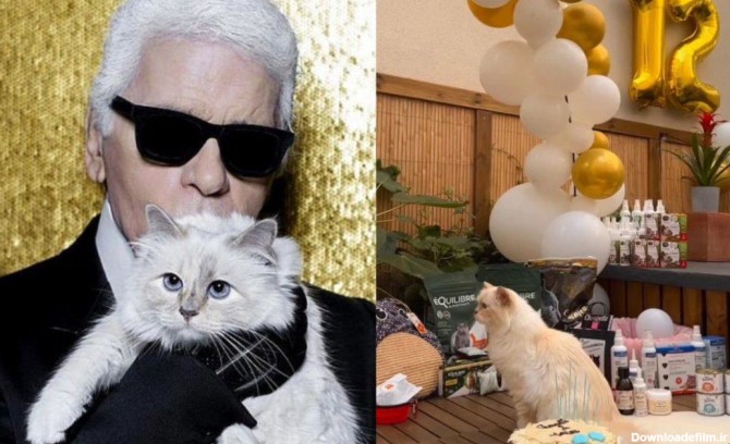 جشن تولد ثروتمندترین گربه دنیا + عکس های هوش پران در دنیای پر از فقیر