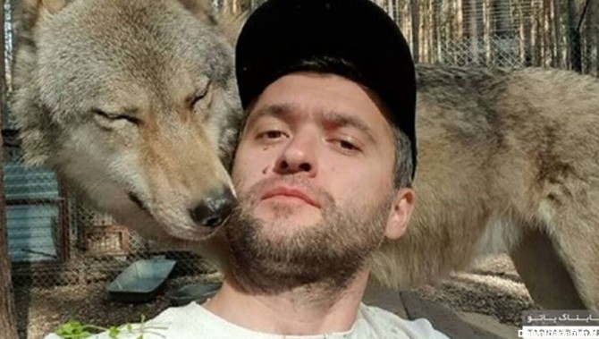 زندگی شگفت انگیز مرد روسی با گرگ‌ها +تصاویر