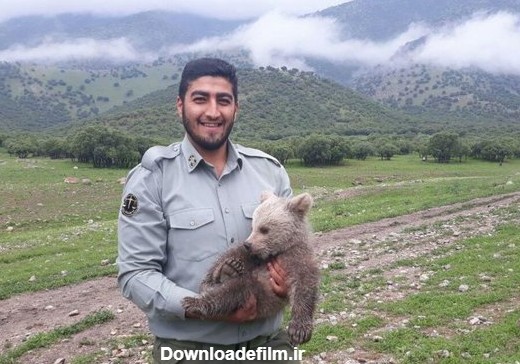 توله خرس سرگردان در«سفیدکوه»خرم‌آباد پیدا شد/تلاش برای یافتن مادر ...