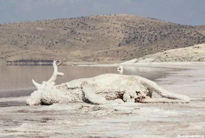 فرارو | اتفاق دریاچه ارومیه برای تهران نیز در حال وقوع است