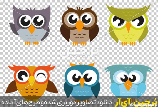 Borchin-ir-pack-six-funny-owls-flat-design وکتور جغد کارتونی png2