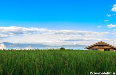 دانلود عکس خانه های کوچک در مزارع برنج و طبیعت زیبا در