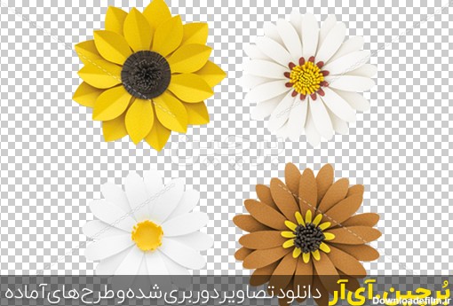 Borchin-ir-different color of a flower عکس png چهار گل رنگارنگ زیبا۲