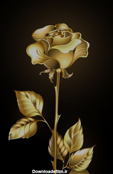 دانلود عکس های گل طلایی ناب و تازه با طرح های خوشگل و زیبا