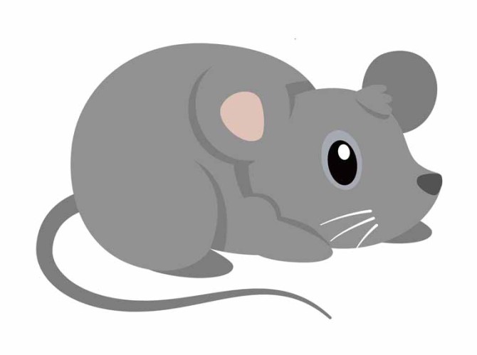 طرح کلیپ آرت بچه موش