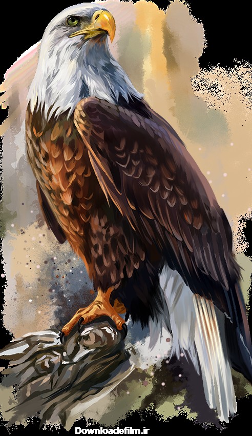 عکس نقاشی از عقاب