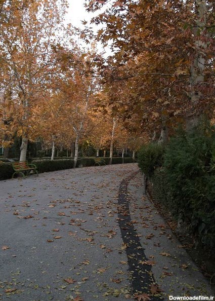 عکس بسیار زیبا از پاییز در پارک لاله تهران - مهین فال