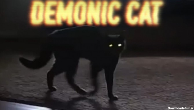دیده شدن گربه سیاه و ترسناک با حرکات عجیب به شکل جن واقعی در خانه!