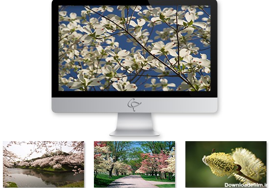 تصاویر طبیعت و شکوفه‌های بهاری را به رایانه خود بیاورید + دانلود
