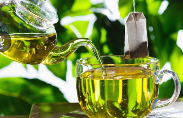 جدیدترین خواص چای سبز در سال 2022 و ترکیبات آن - کافی مافی