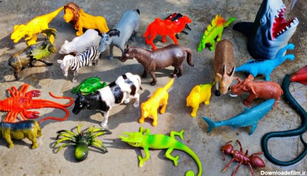 اسباب بازی های حیوانات - حیوانات به زبان انگلیسی - آموزش حیوانات کودکان