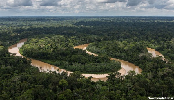 جنگل های آمازون