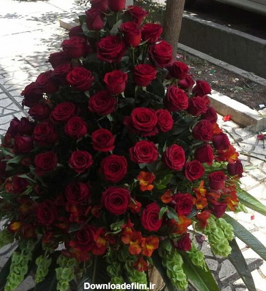 سبد گل رز قرمز بزرگ زیبا برای خواستگاری