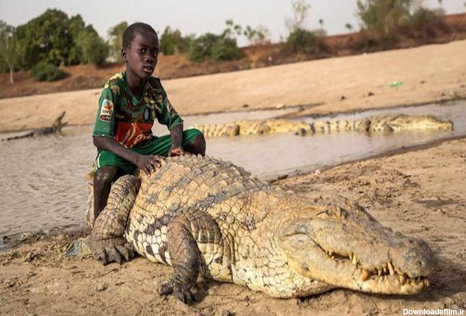 دوستی پسر بچه با یک تمساح/ عکس | پایگاه خبری جماران