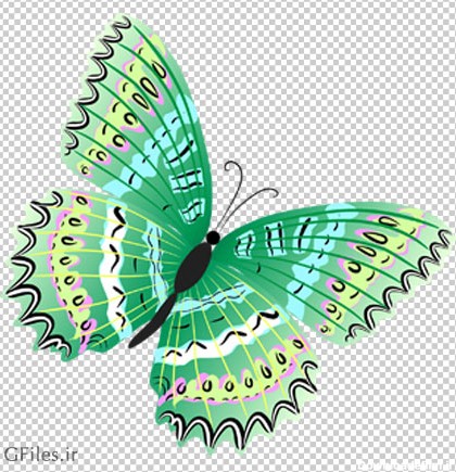 دانلود شاپرک (پروانه) کارتونی با رنگ سبز بصورت دوربری شده و بدون ...