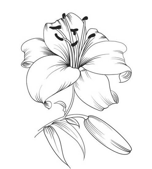 نقاشی گل جدید ساده و بسیار زیبا
