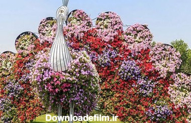 باغ معجزه دبی بزرگترین باغ گل جهان - مجله تصویر زندگی