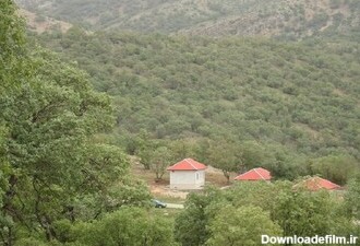شهرداری با وزارت نفت در سرمایه گذاری پارک جنگلی یاسوج تعامل ...