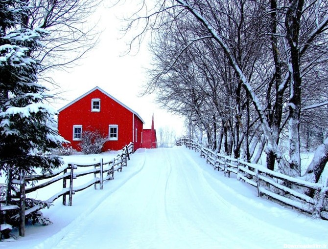 با این ترفندها زیباترین عکس‌های زمستانی بگیرید