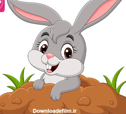 تحقیق در مورد خرگوش کودکان خانگی لوپ