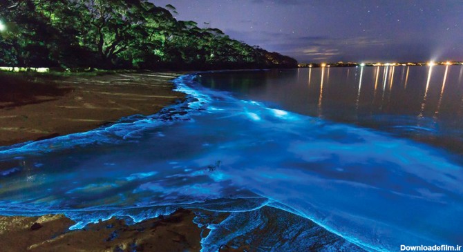 دریای ستارگان مالدیو | سواحلی که می‌درخشند! - مجله گردشگری