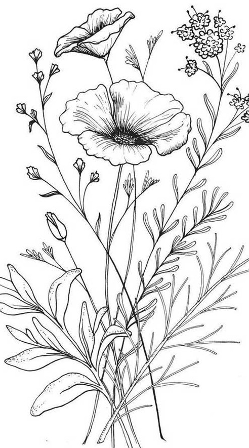 نقاشی انواع گلهای مختلف برای پروفایل
