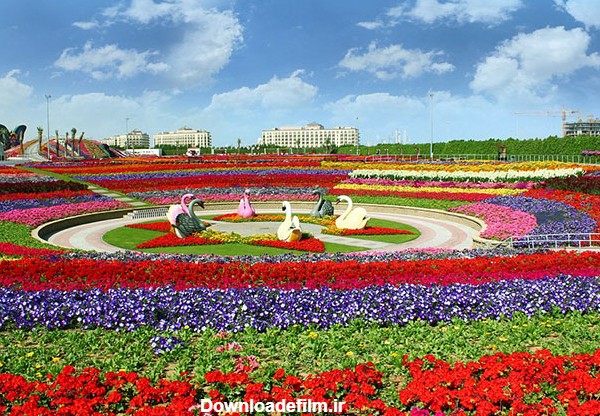 بزرگترین باغ گل جهان در قلب کویر، رنگین کمانی با 45 میلیون گل در دوبی