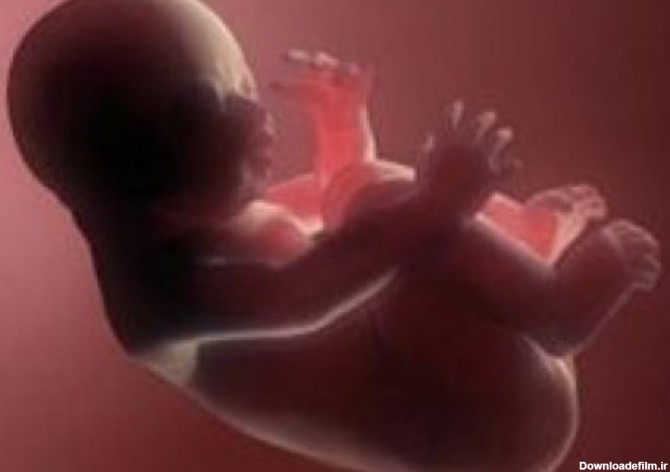ژست جالب جنین درون شکم مادرش + عکس - تسنیم